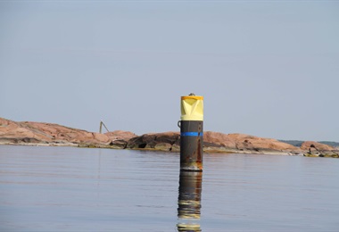 Pollari