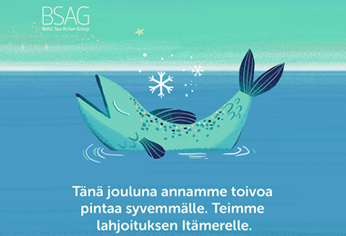Tänä jouluna teimme lahjoituksen Itämerelle.